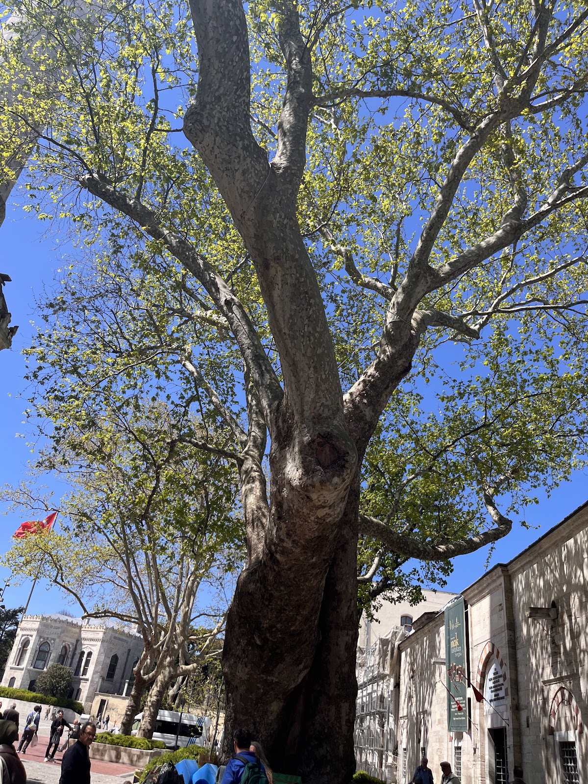 Beyazit Square photo 3