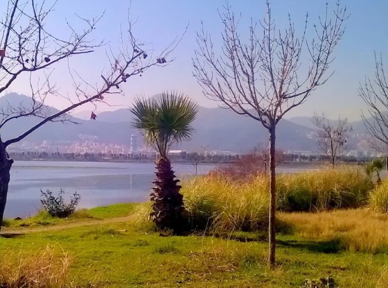 İnciraltı Kent Ormanı photo 12