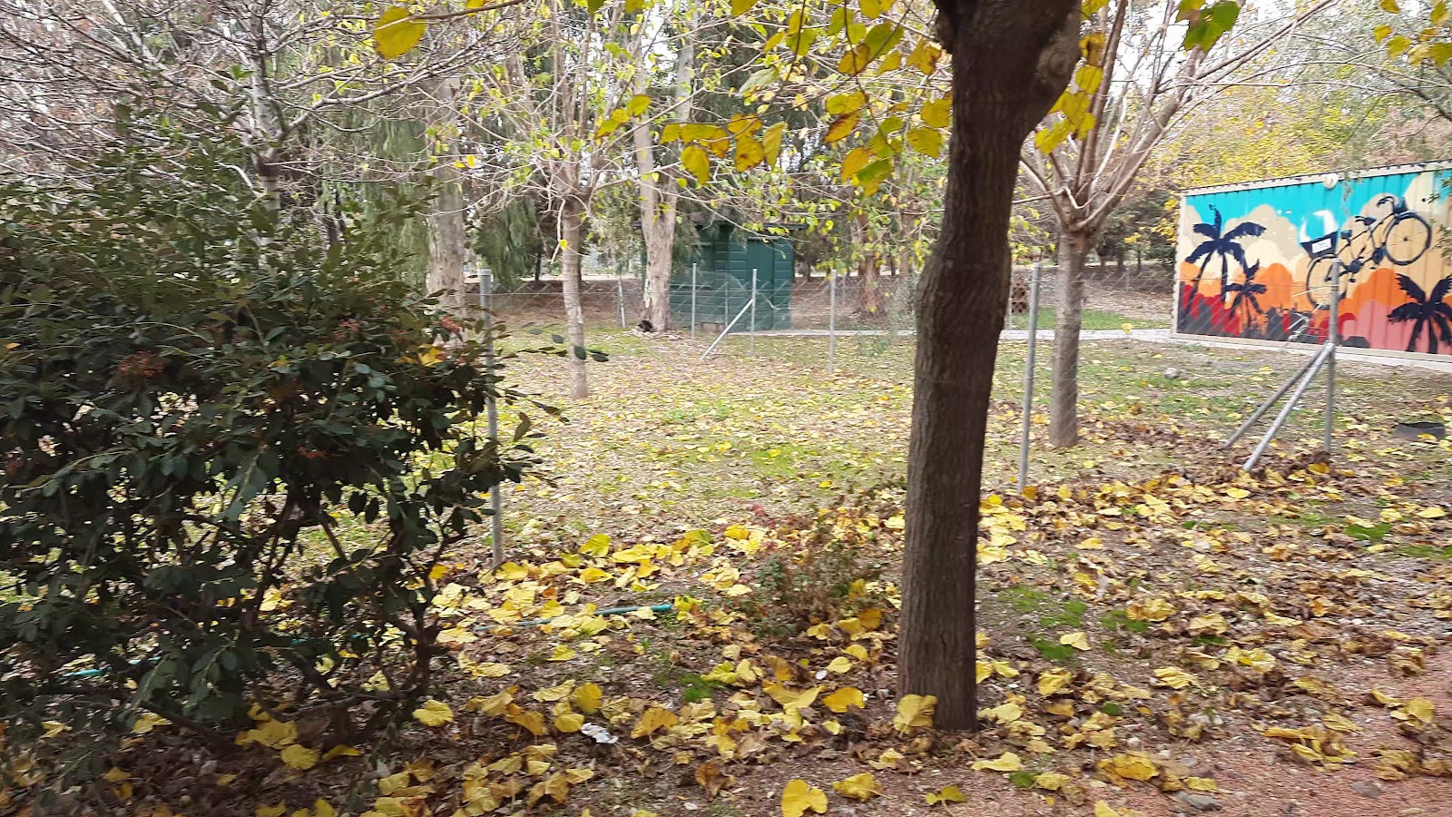 İnciraltı Kent Ormanı photo 7