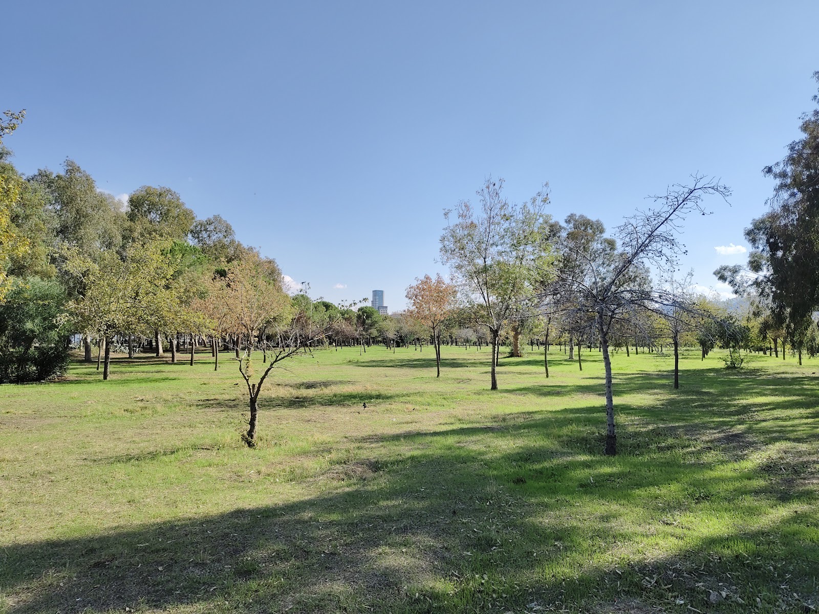İnciraltı Kent Ormanı photo 2