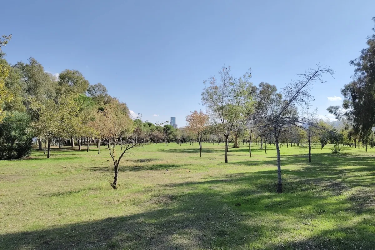 İnciraltı Kent Ormanı photo 1