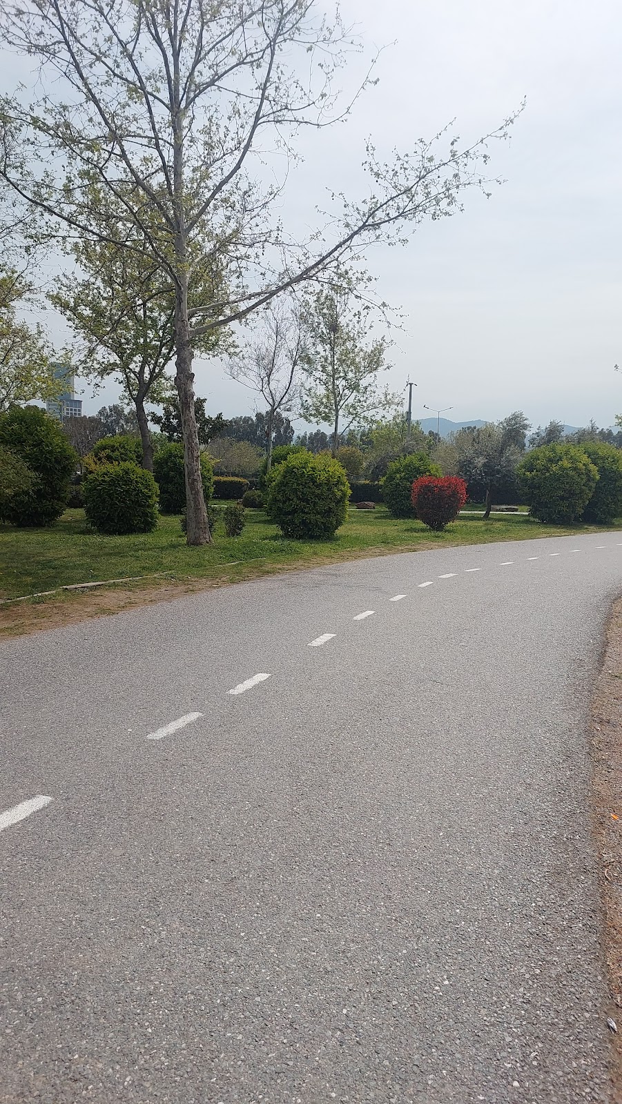 İnciraltı Kent Ormanı photo 14