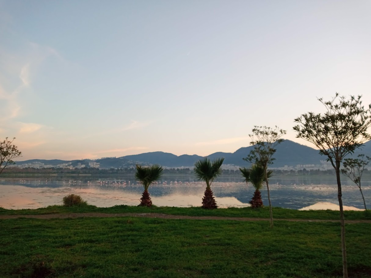 İnciraltı Kent Ormanı photo 8