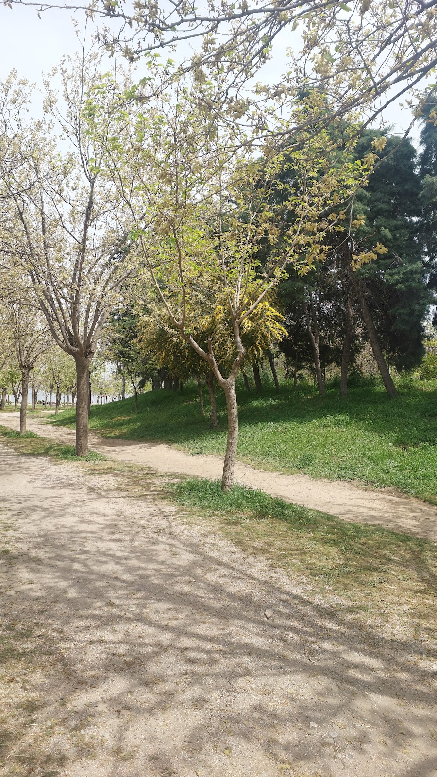 İnciraltı Kent Ormanı photo 15