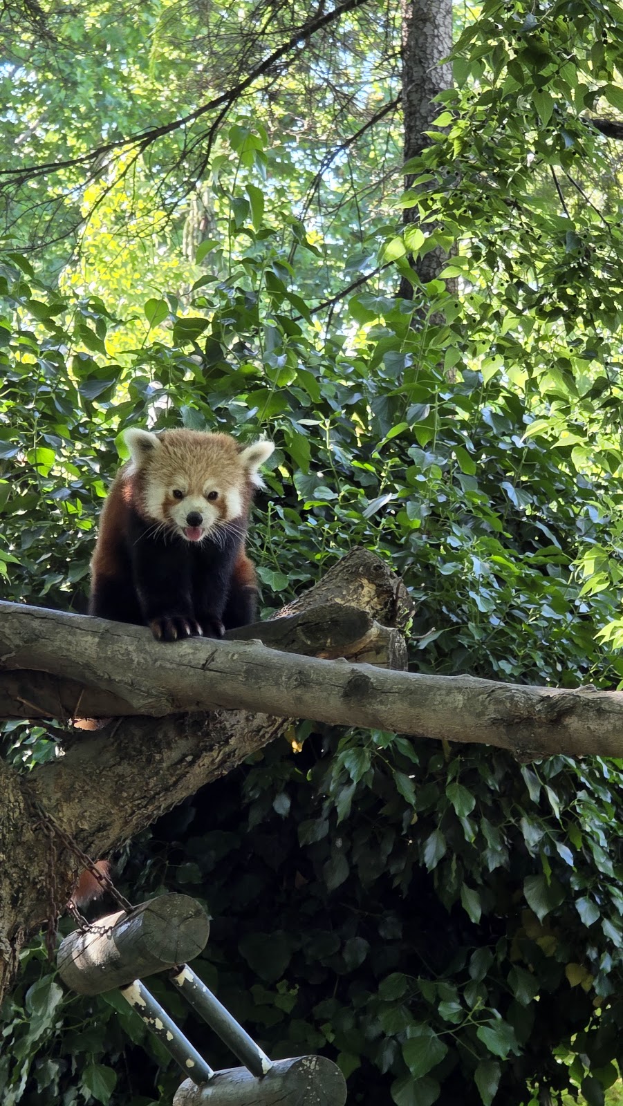 Bursa Zoo photo 9