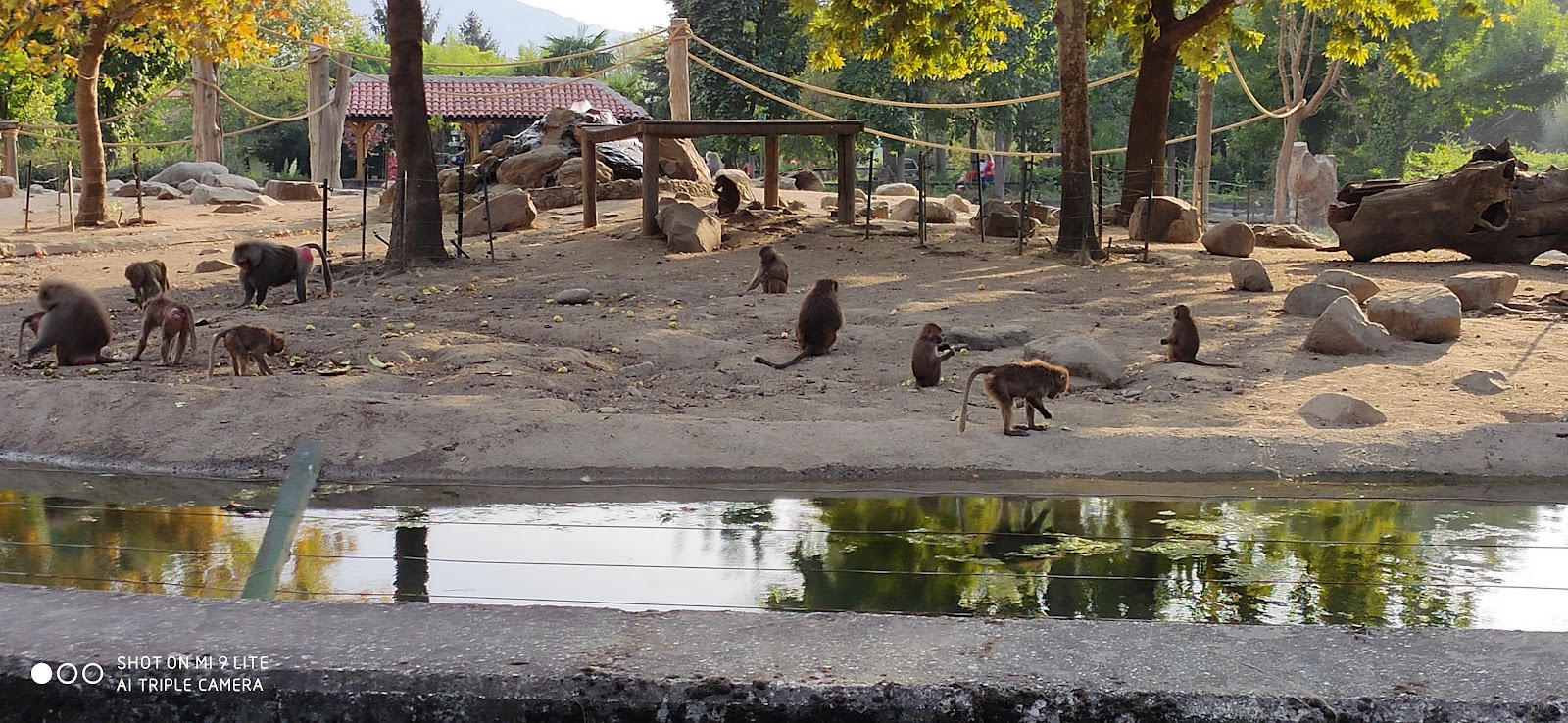 Bursa Zoo photo 6