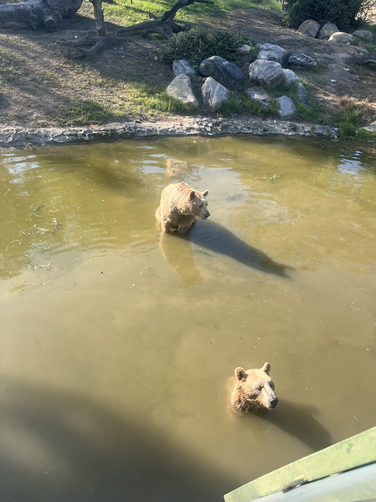 Bursa Zoo photo 4