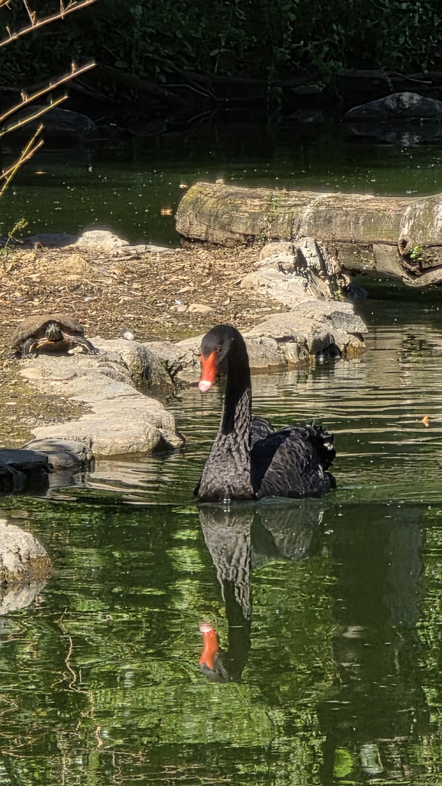 Bursa Zoo photo 10