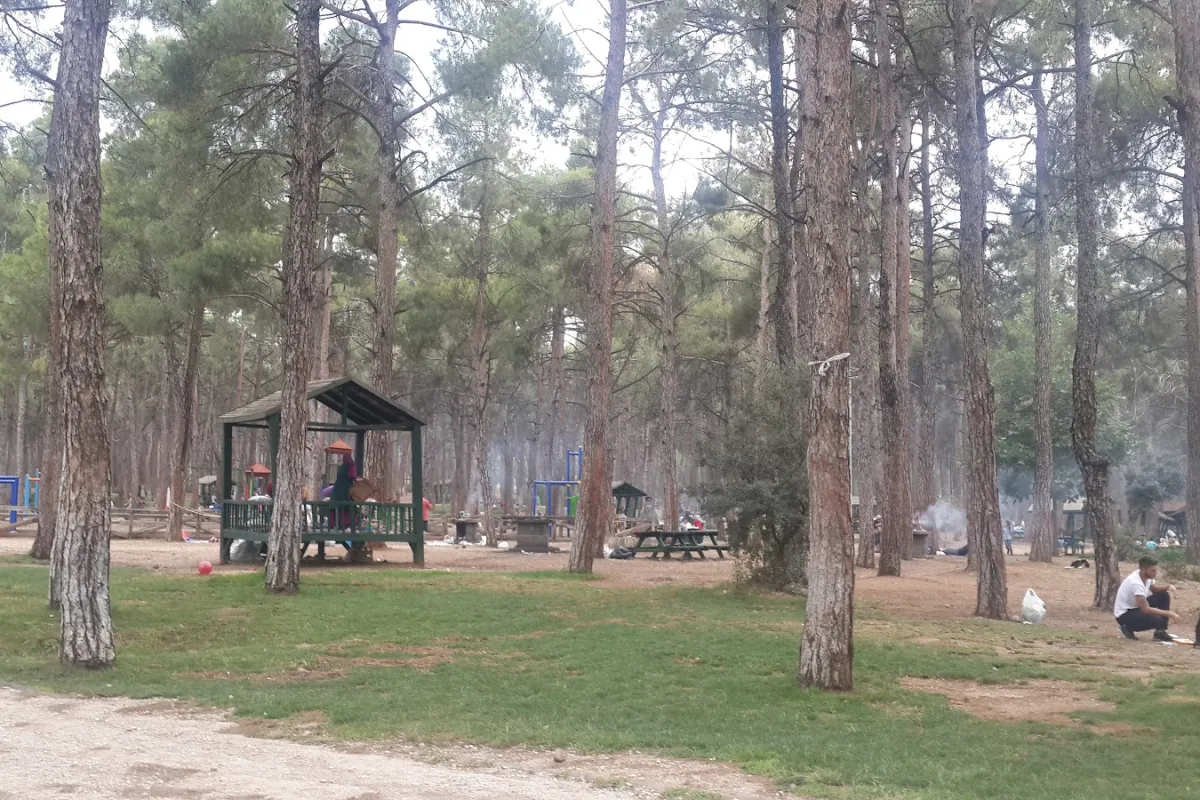 Çamlık Orman İçi Dinlenme Yeri photo 1