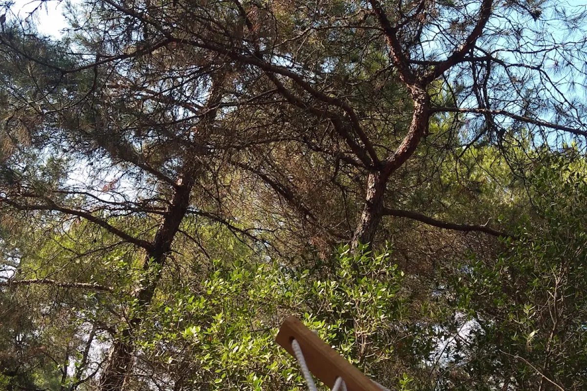 Damascus' Park photo 1