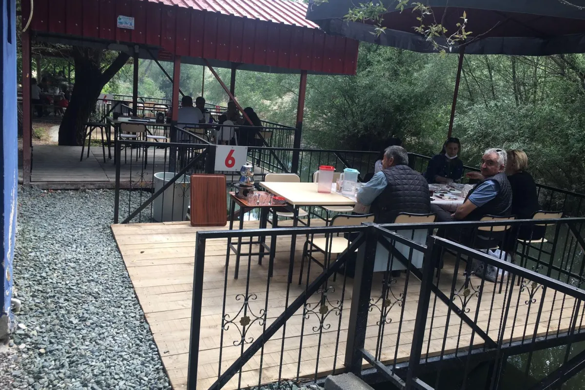 Alinin Yeri Et Ve Canlı Alabalık photo 1