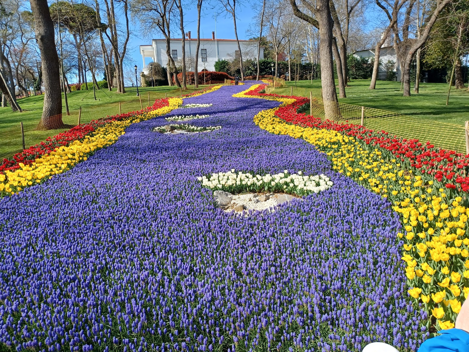 Emirgan Park photo 10