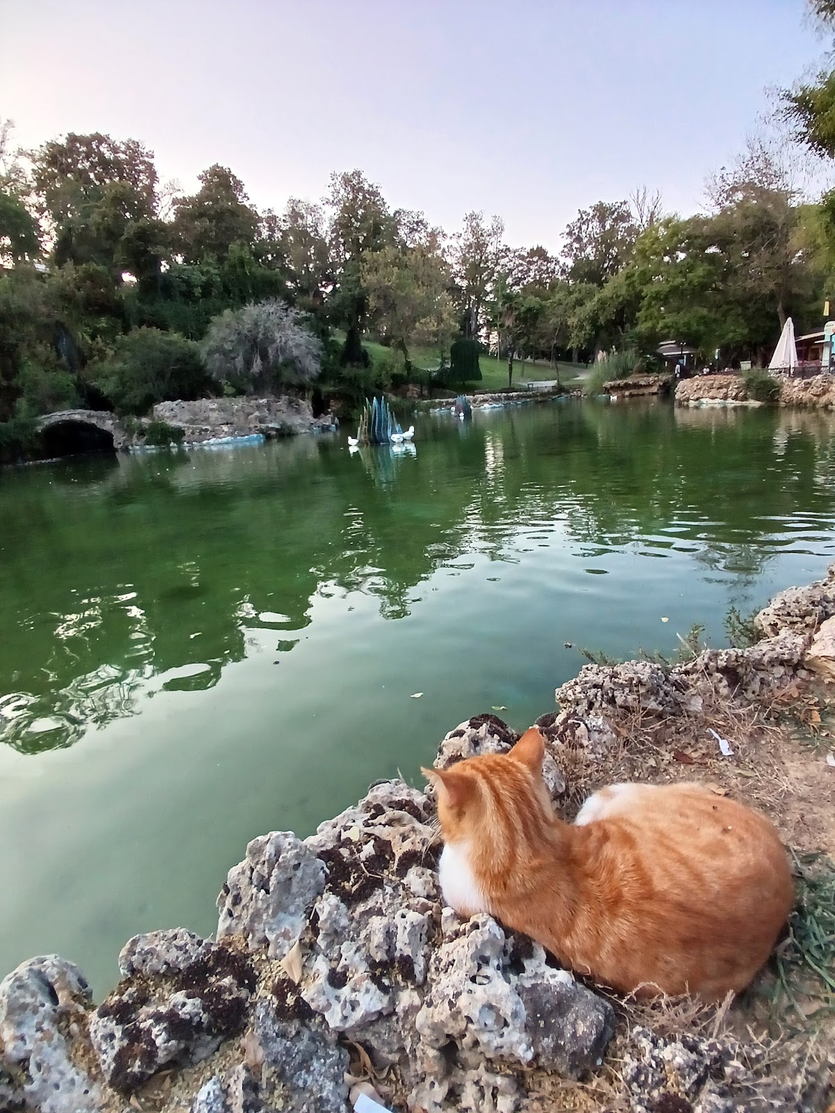 Emirgan Park photo 5