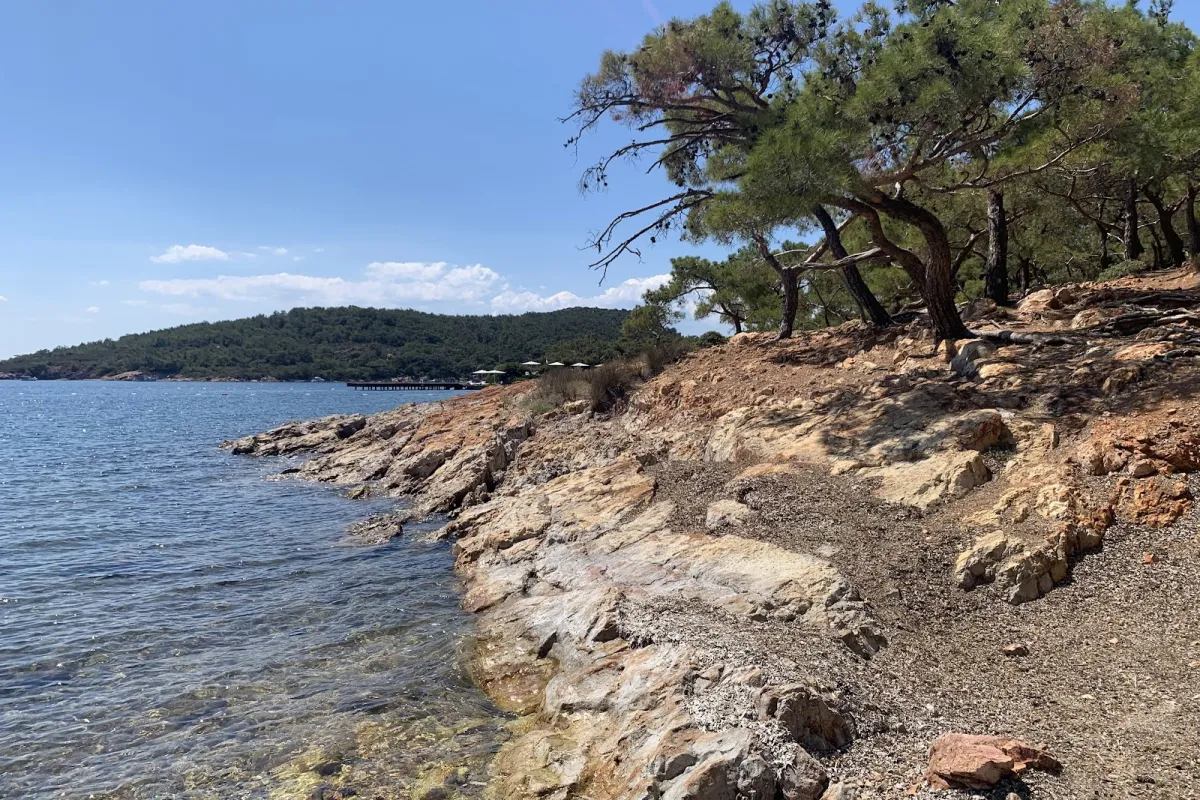 Ortunç Koyu photo 1