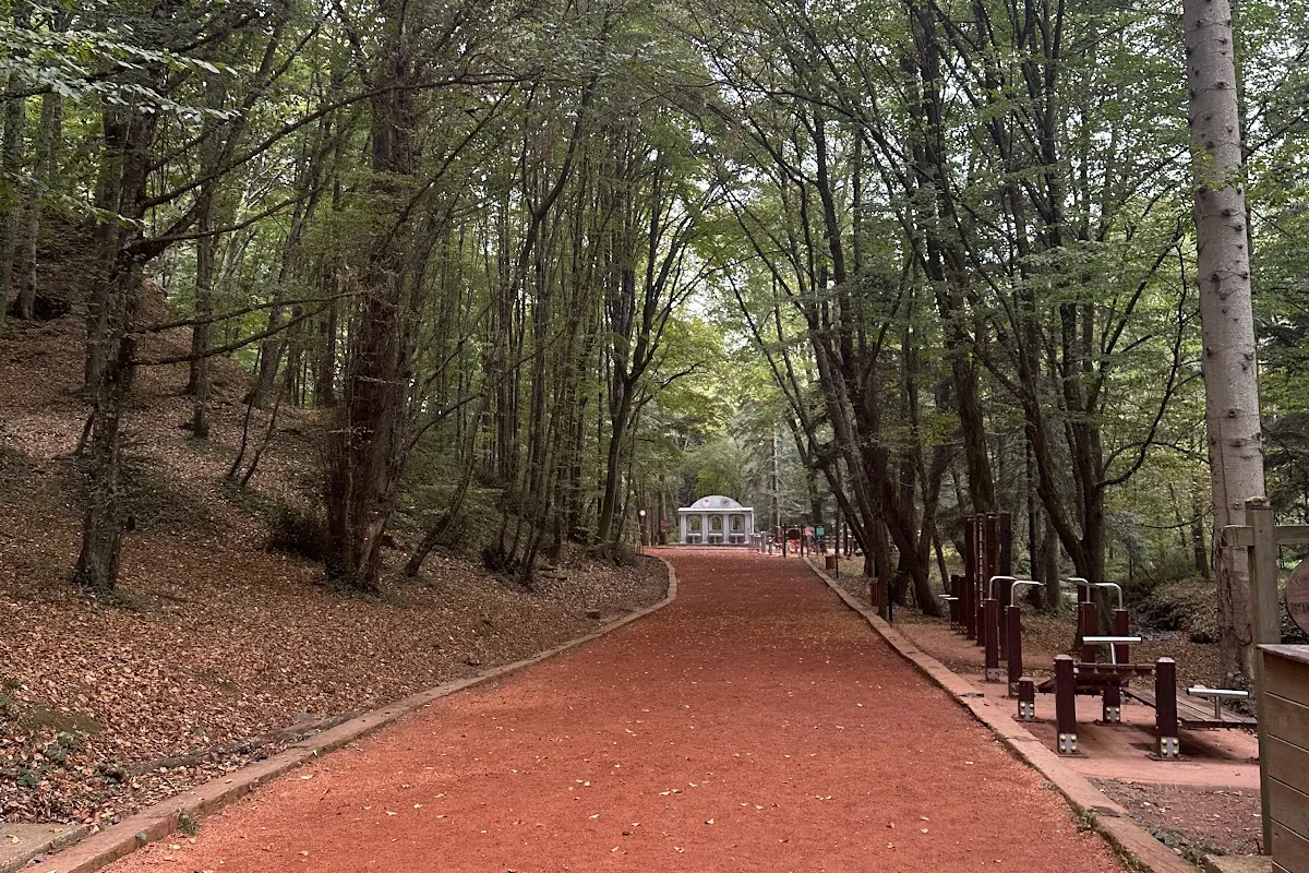 Belgrad ormanı photo 1