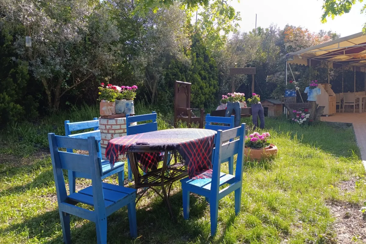 Yalova Organica Restaurant photo 1