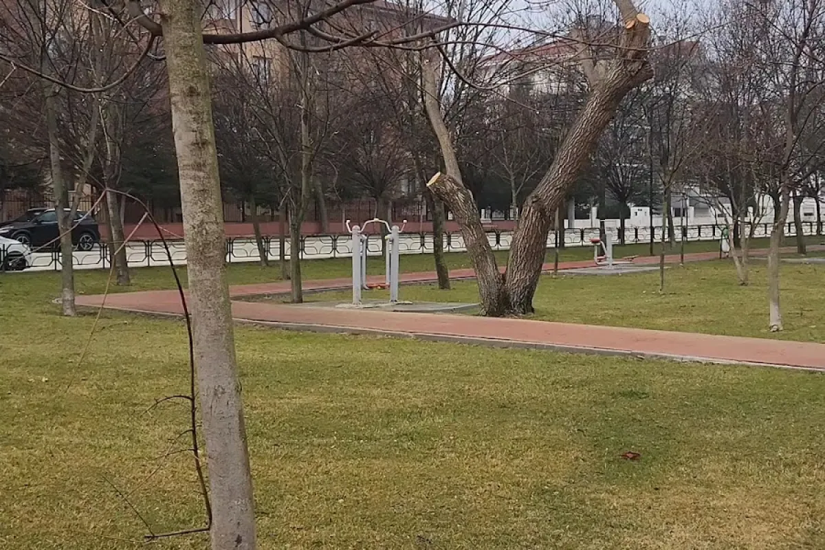 Abdulcemil Kırımoğlu Parkı photo 1