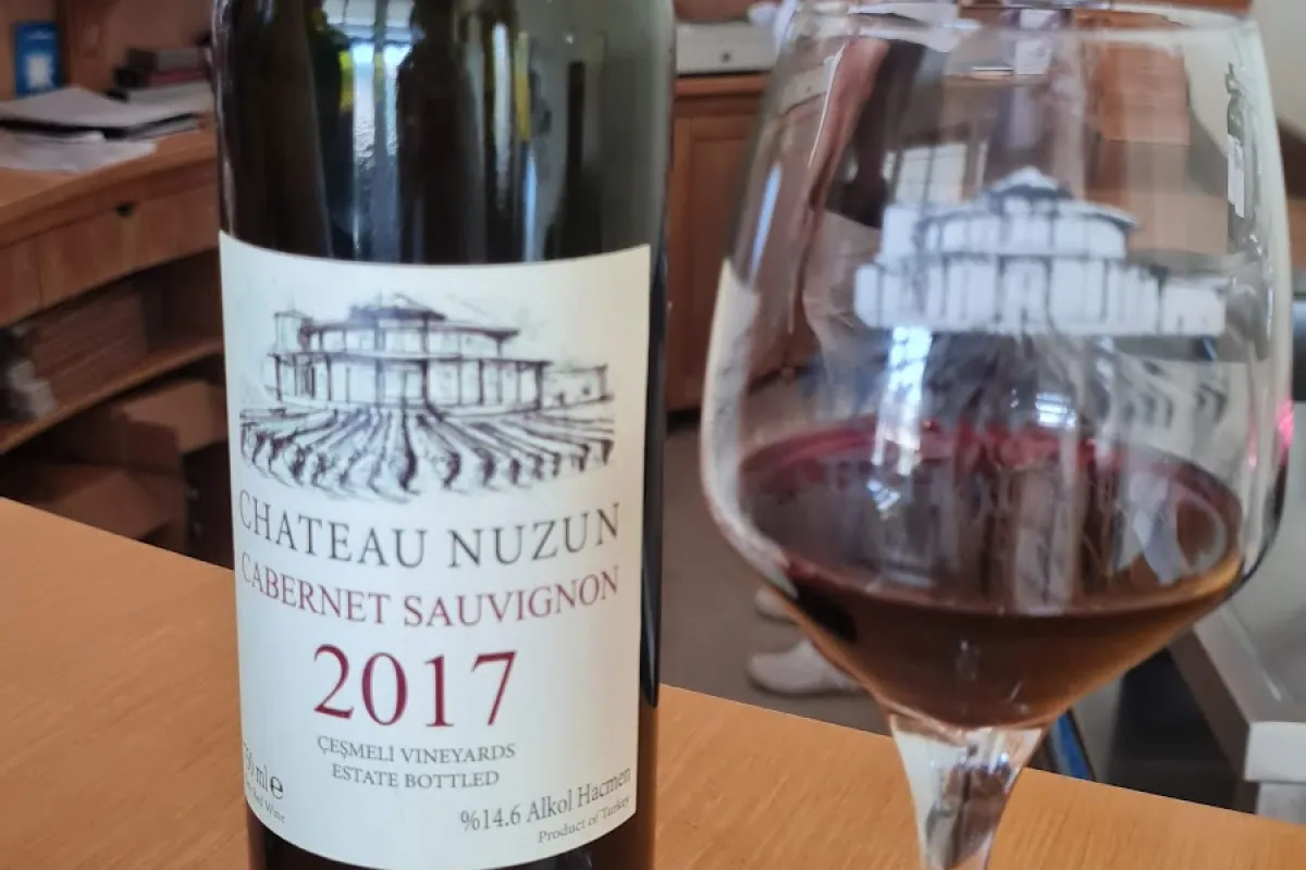 Chateau Nuzun photo 1
