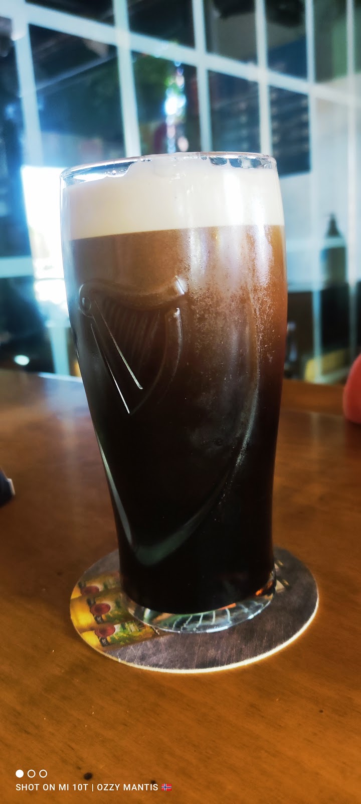 The Harp Irish Pub photo 3