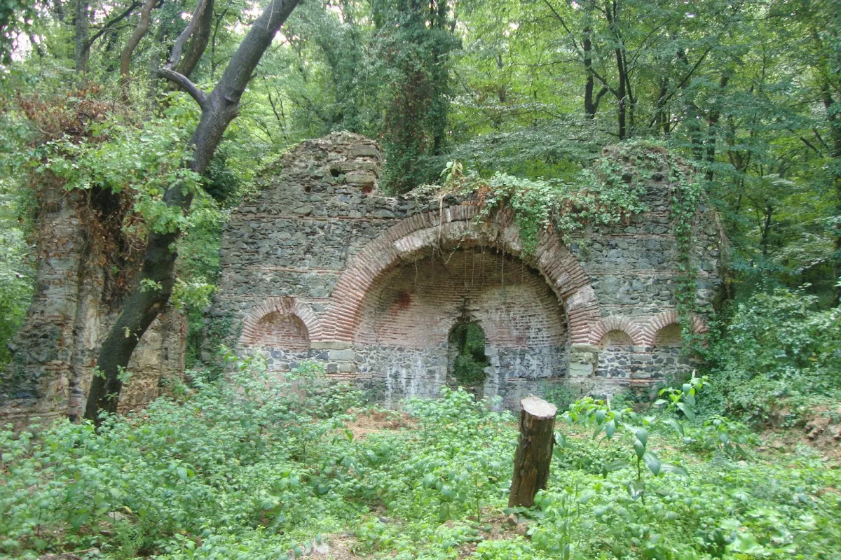 Falih Rıfkı Atay Nature Park photo 1