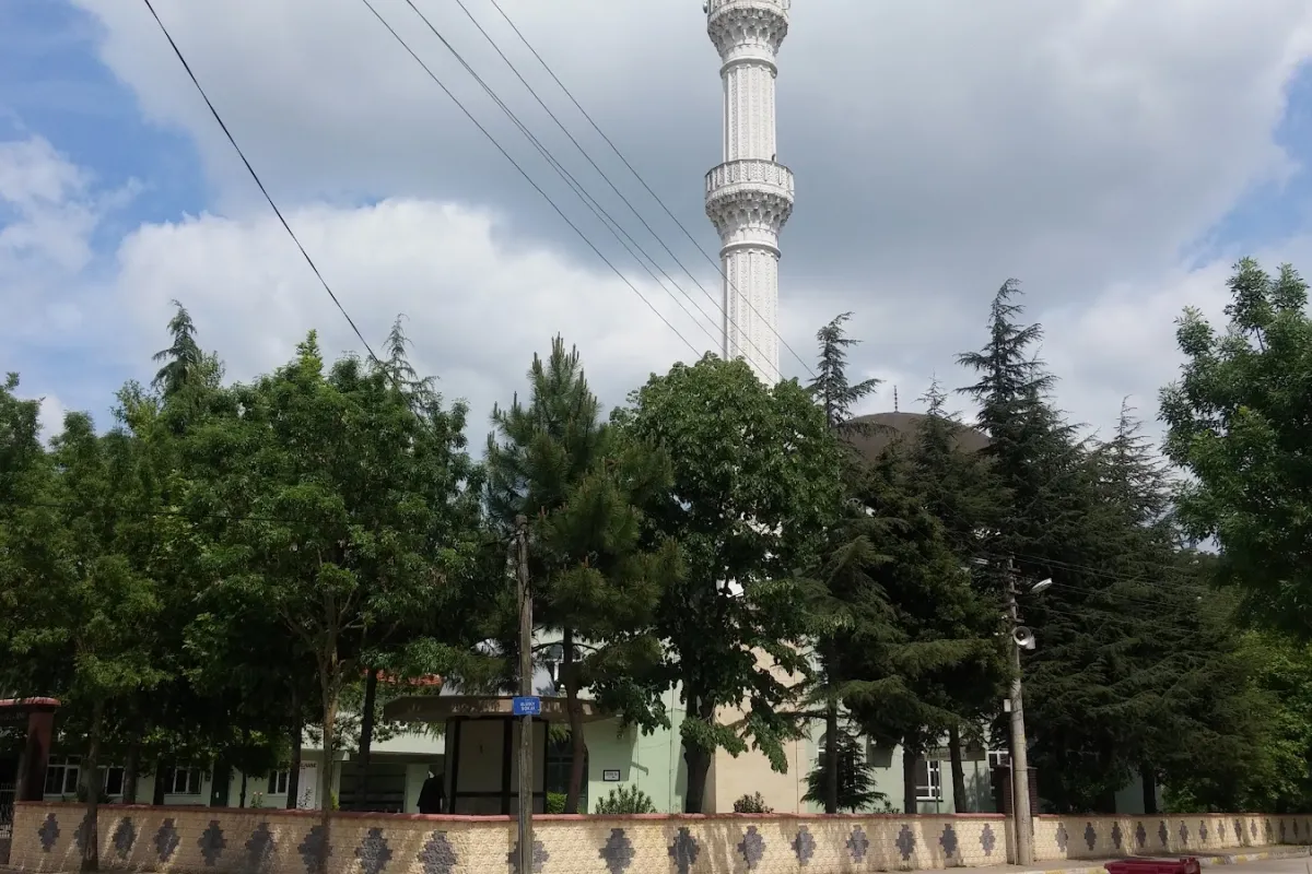 Çınarlıdere Cami photo 1
