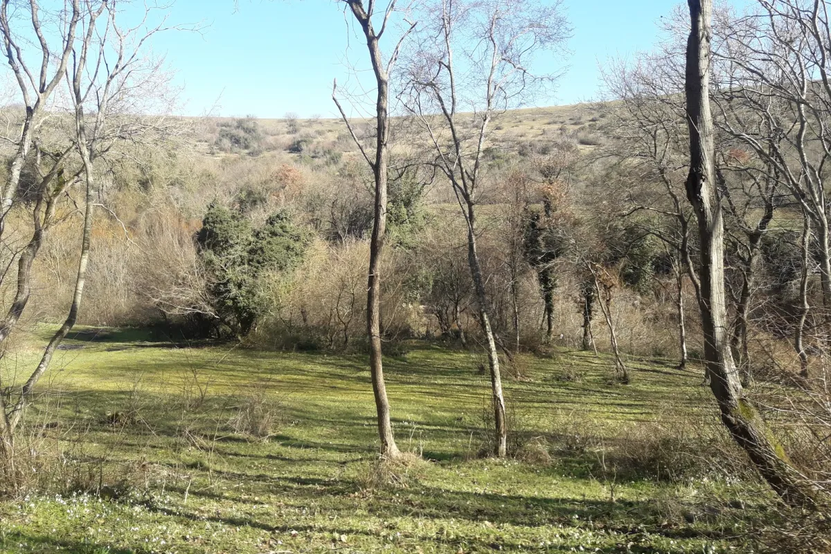 Tayfun Topçu Parkı photo 1