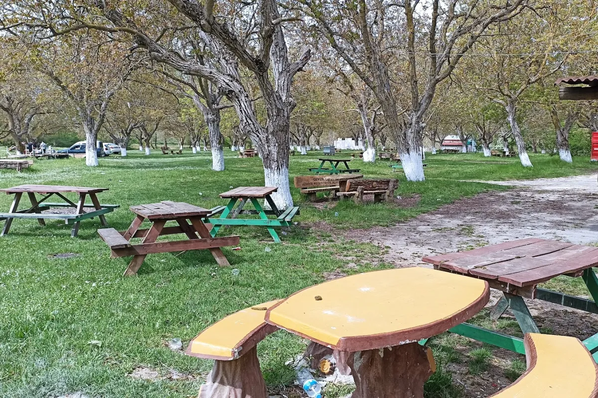 Cevizköy Piknik Alanı photo 1