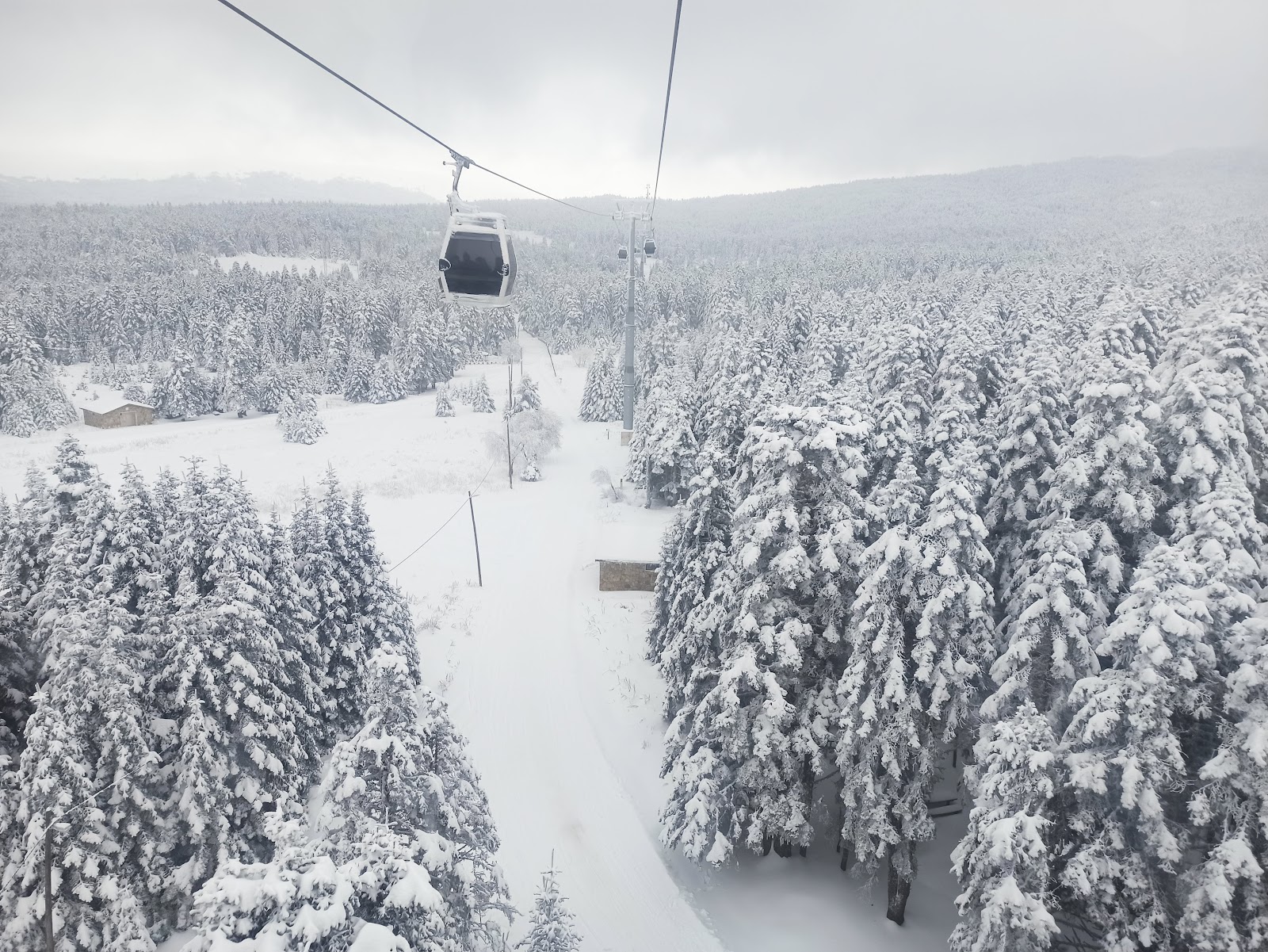 Uludag National Park photo 6