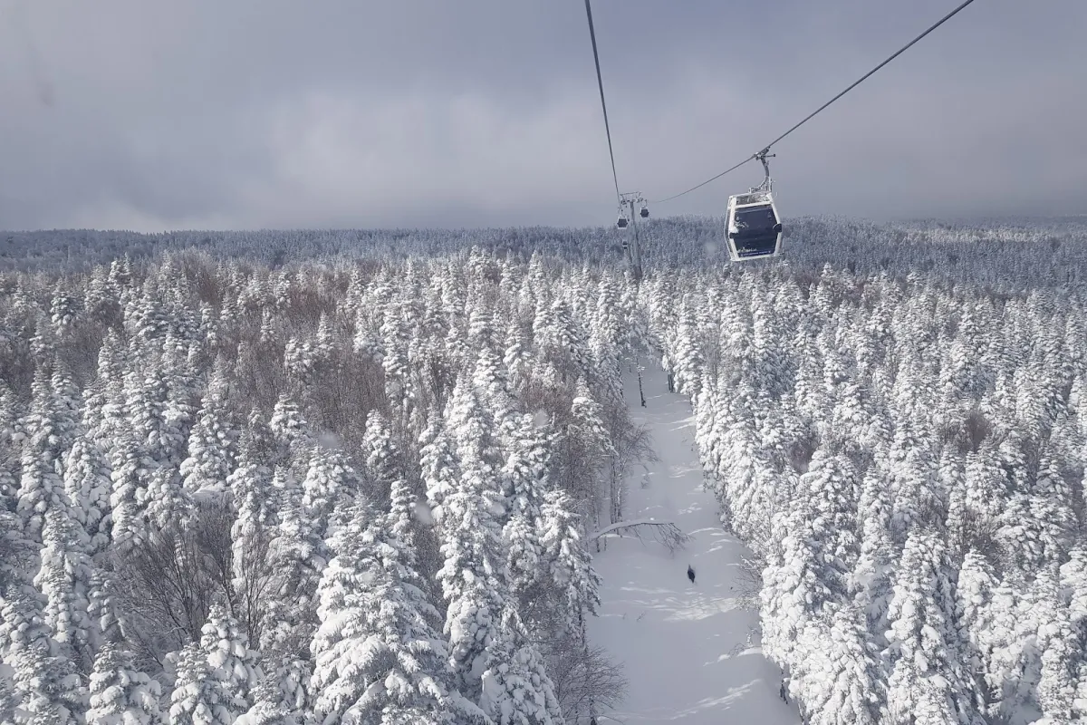Uludag National Park photo 1