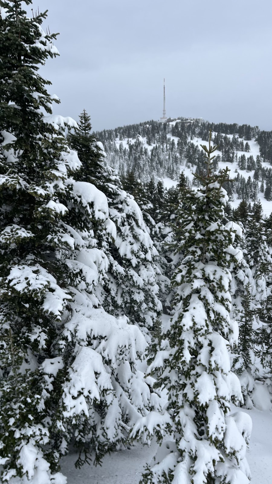 Uludag National Park photo 10