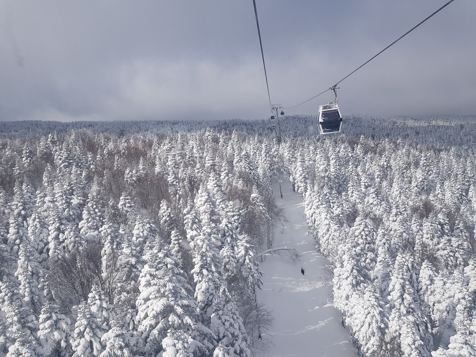 Uludag National Park photo 2