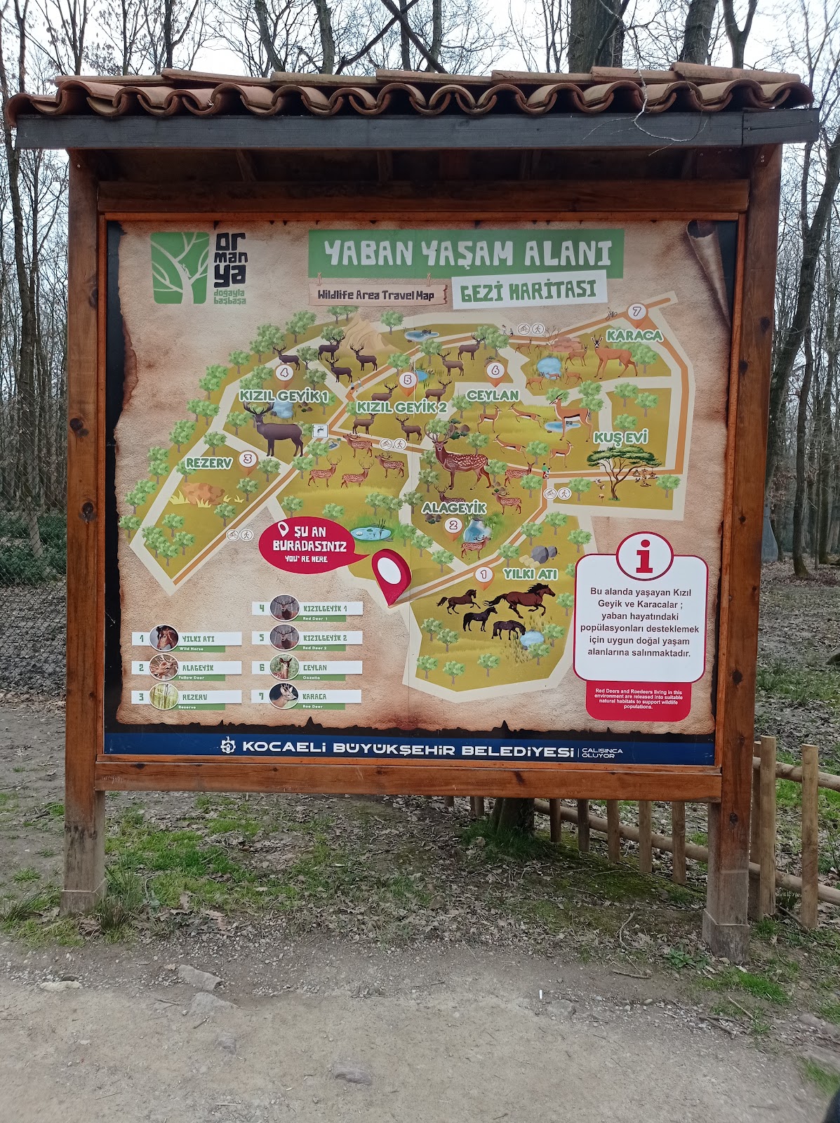 Doğu Kışla Youth Park photo 6
