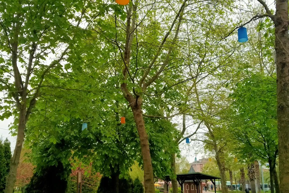 Doğu Kışla Youth Park photo 1