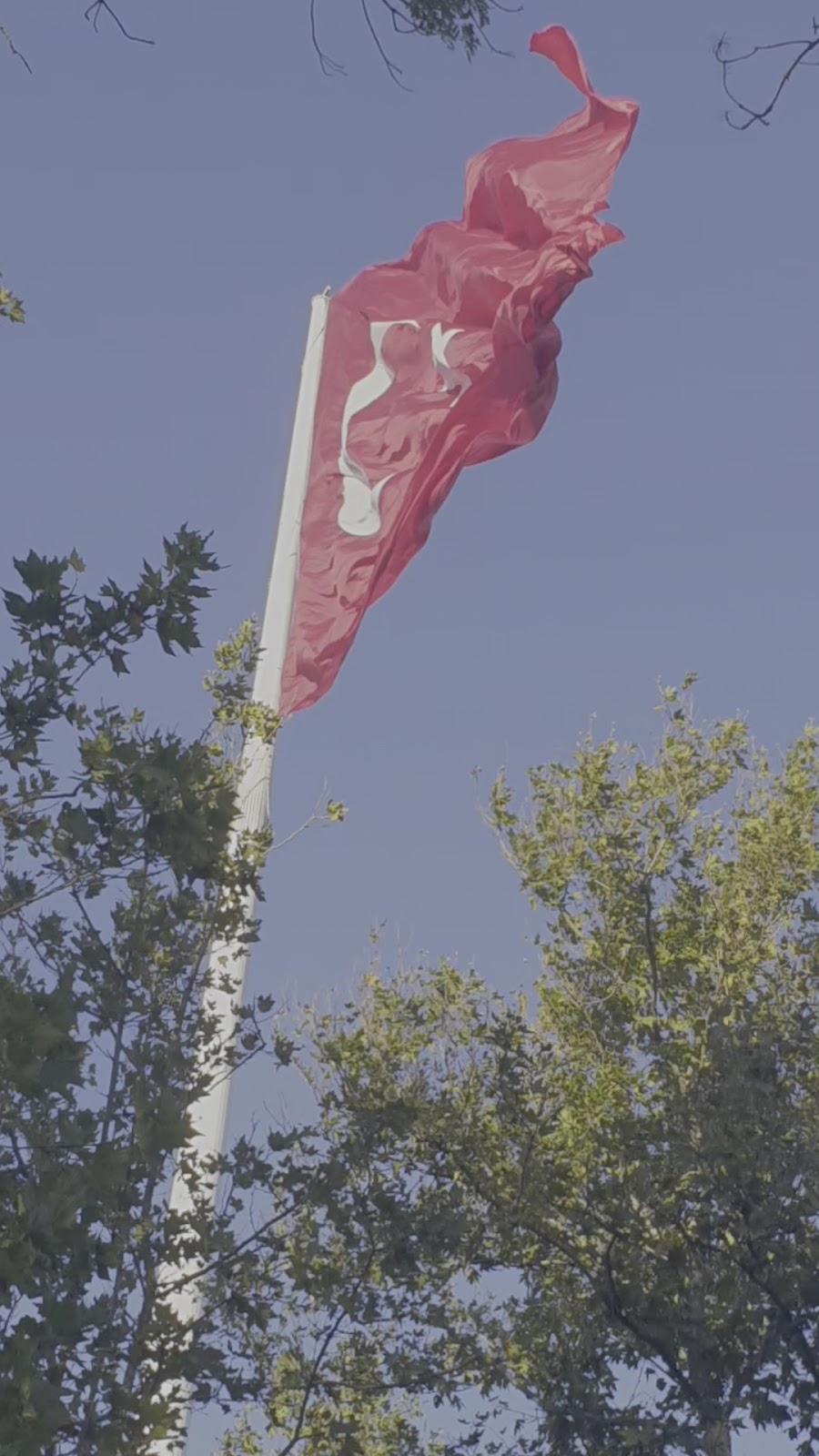 İBB Çamlıca Sosyal Tesisi photo 13