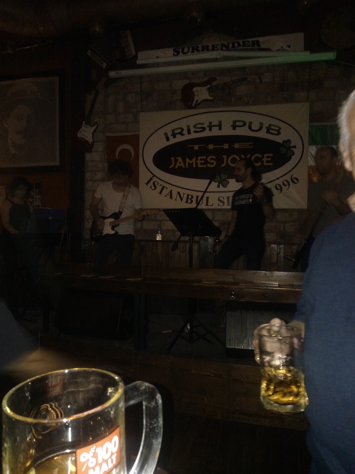 Irish Pub The James Joyce photo 6