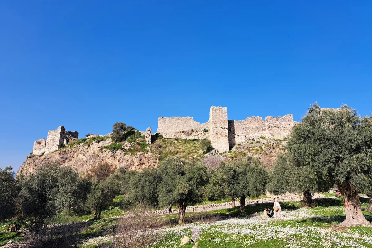 Becin Castle photo 1