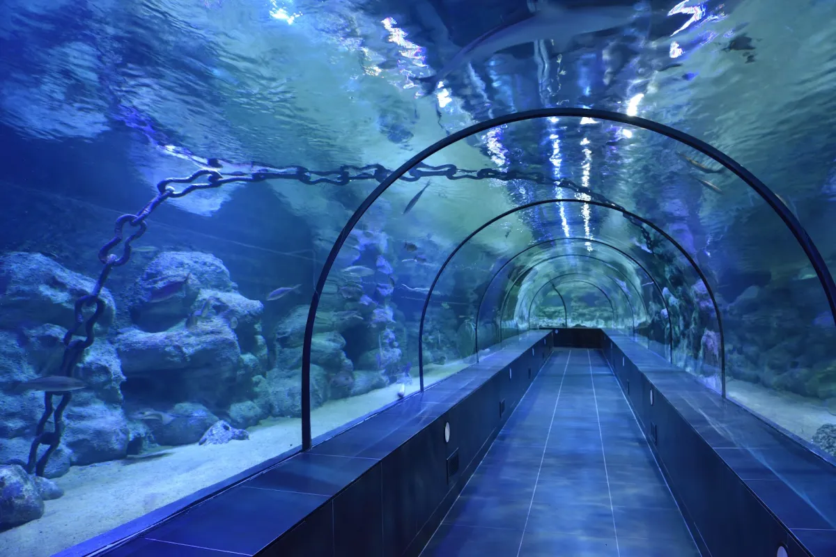 ViaSea Aquarium photo 1