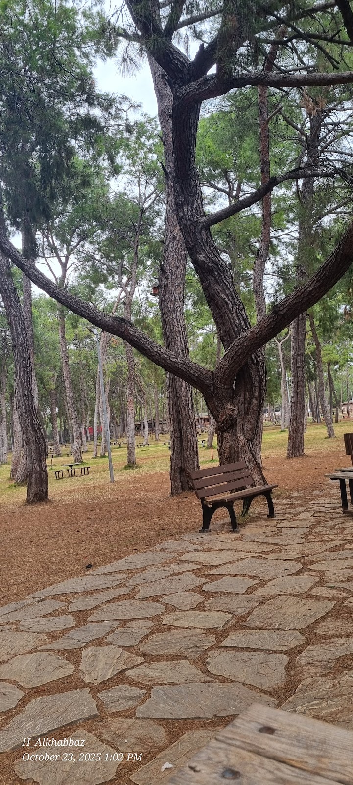 Kepez Municipality Urban Forest photo 11