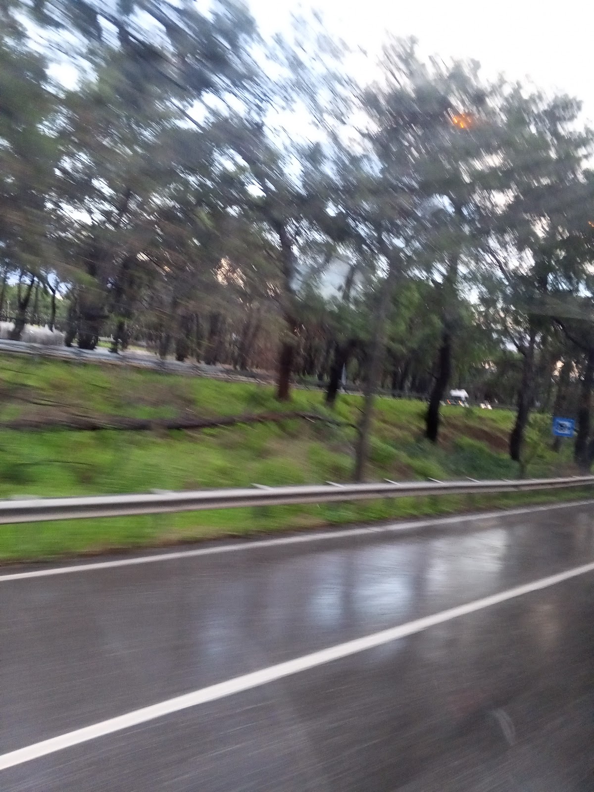 Kepez Municipality Urban Forest photo 3