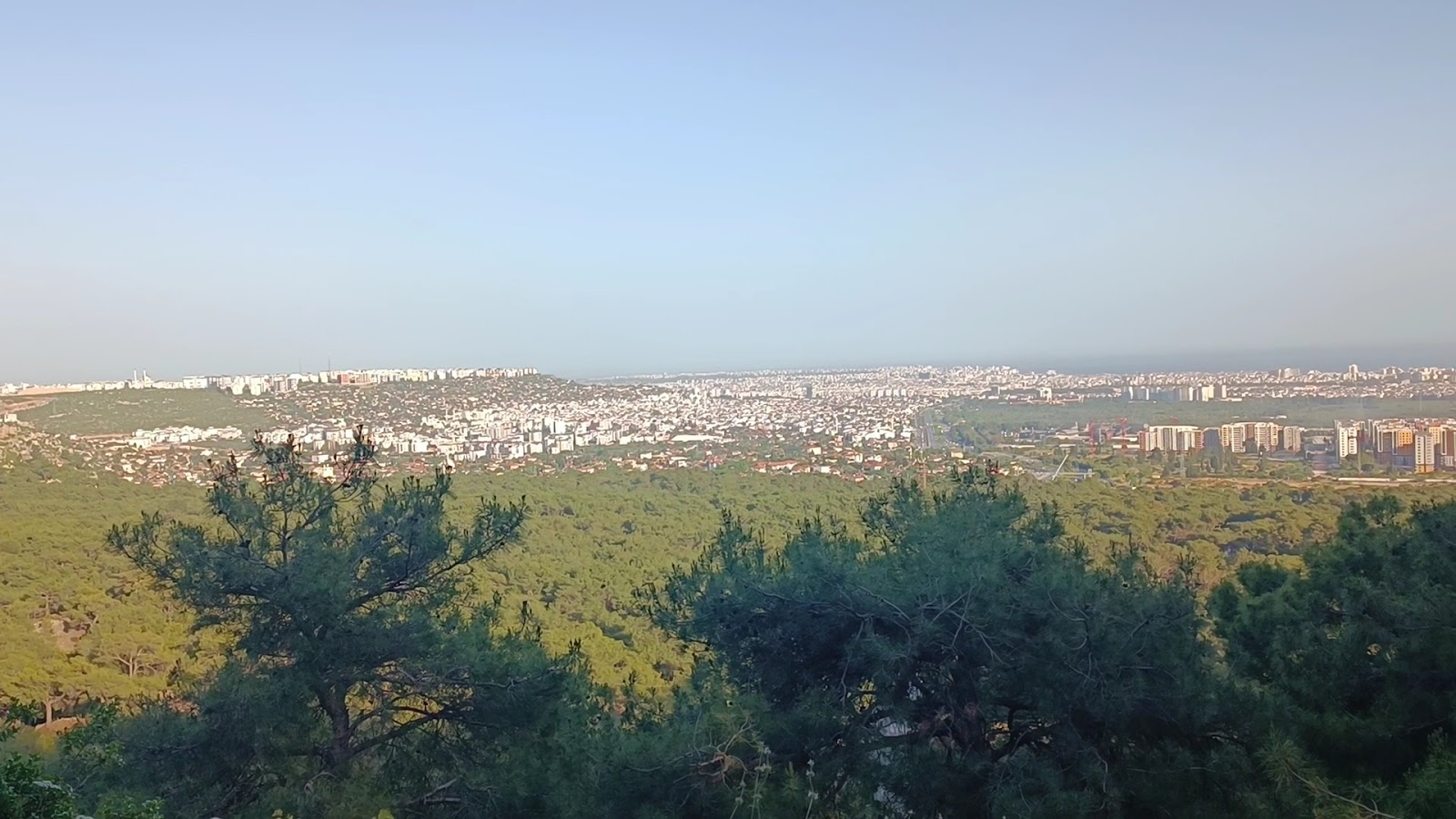 Kepez Municipality Urban Forest photo 5