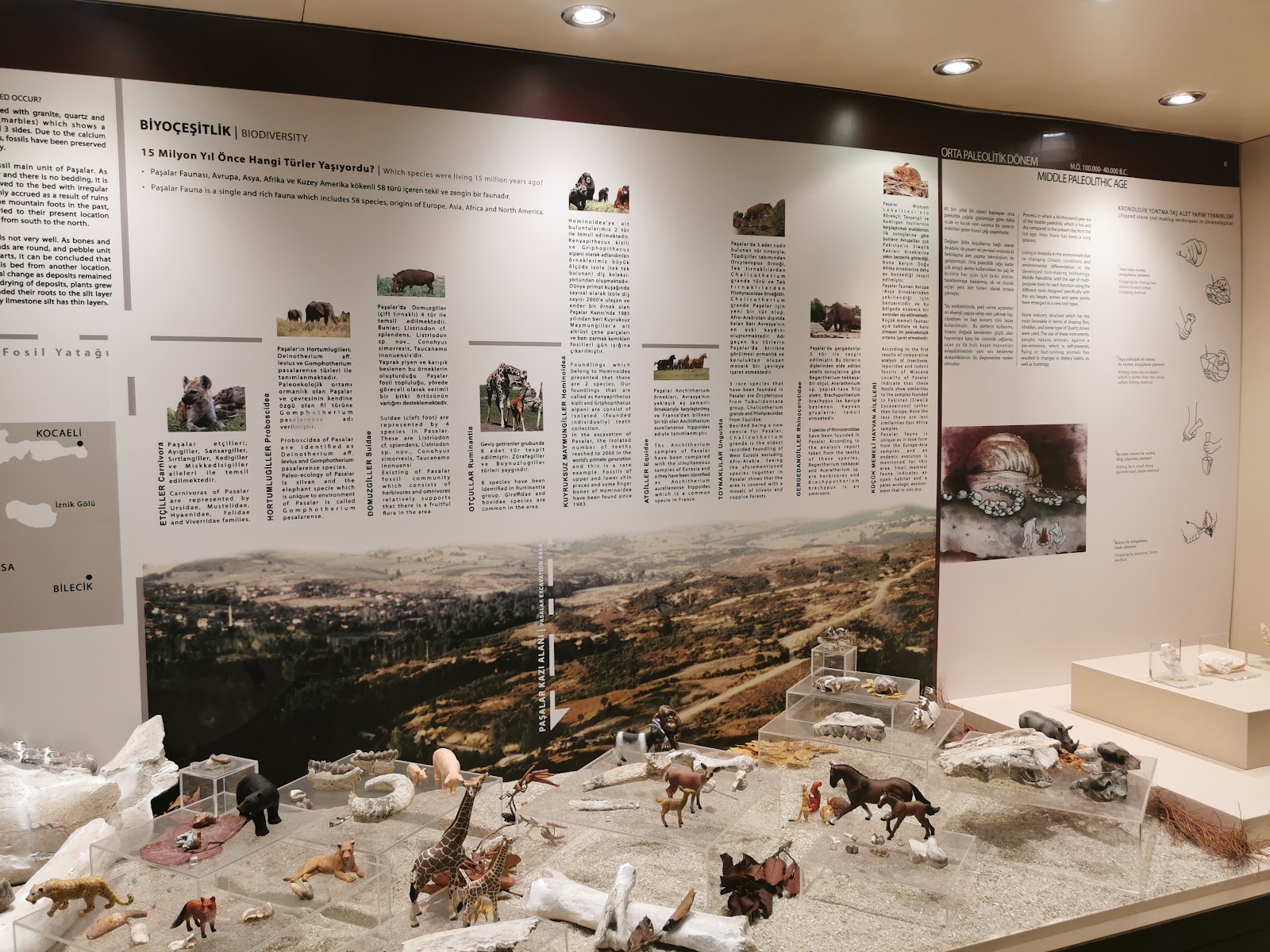 Bursa Archaeological Museum photo 2
