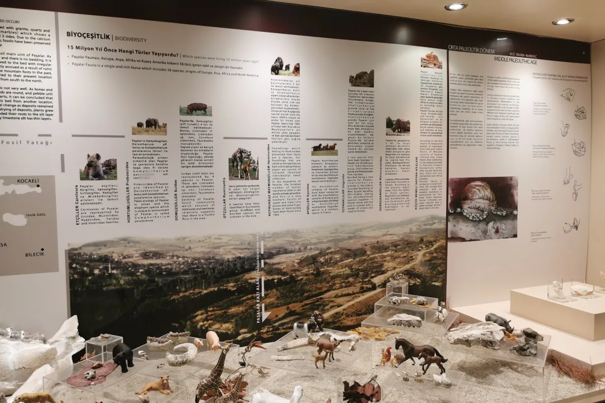 Bursa Archaeological Museum photo 1