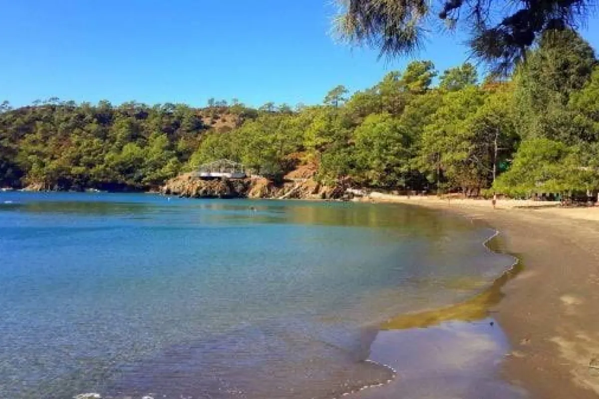 Katrancı Bay Nature Park photo 1