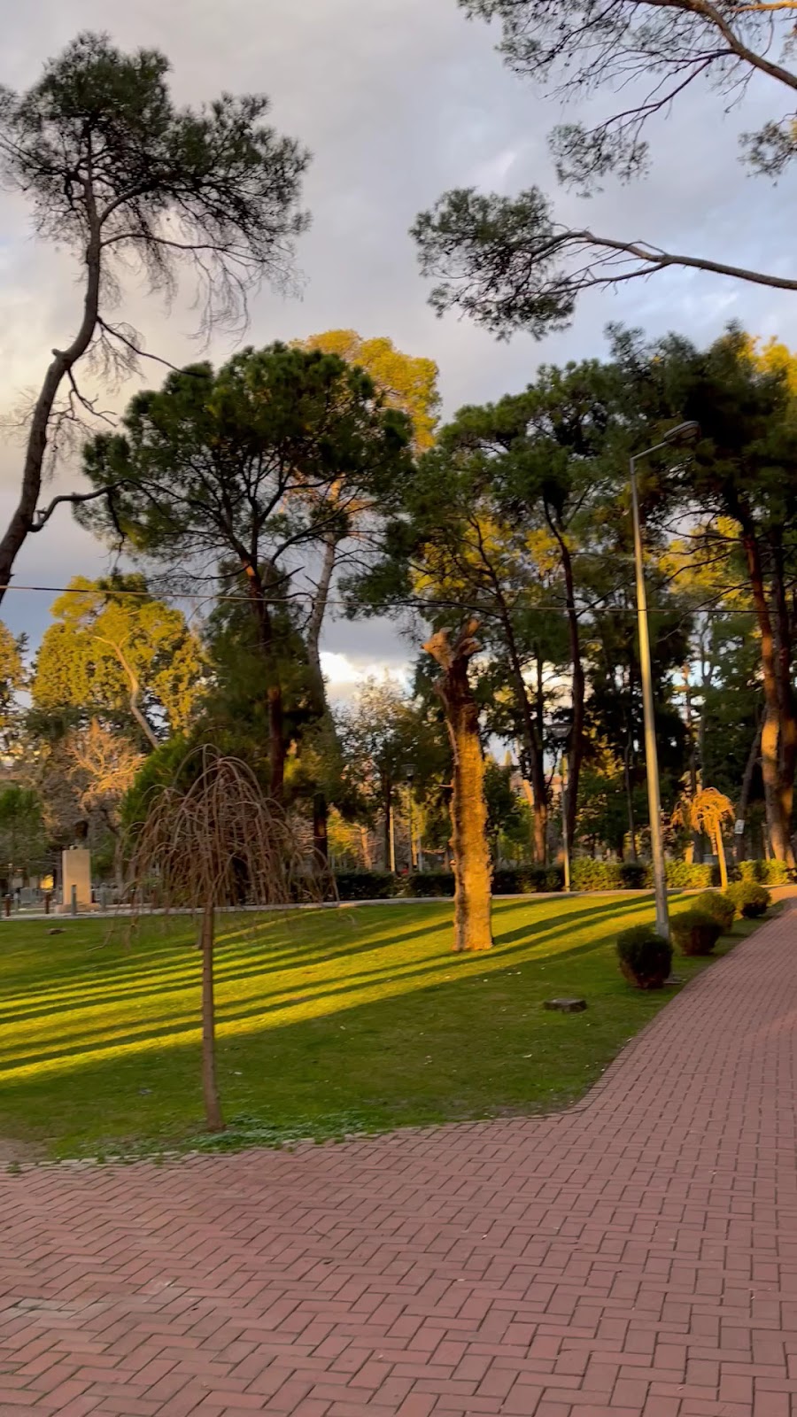 İzmir Büyükşehir Belediyesi Hasanağa Bahçesi photo 5