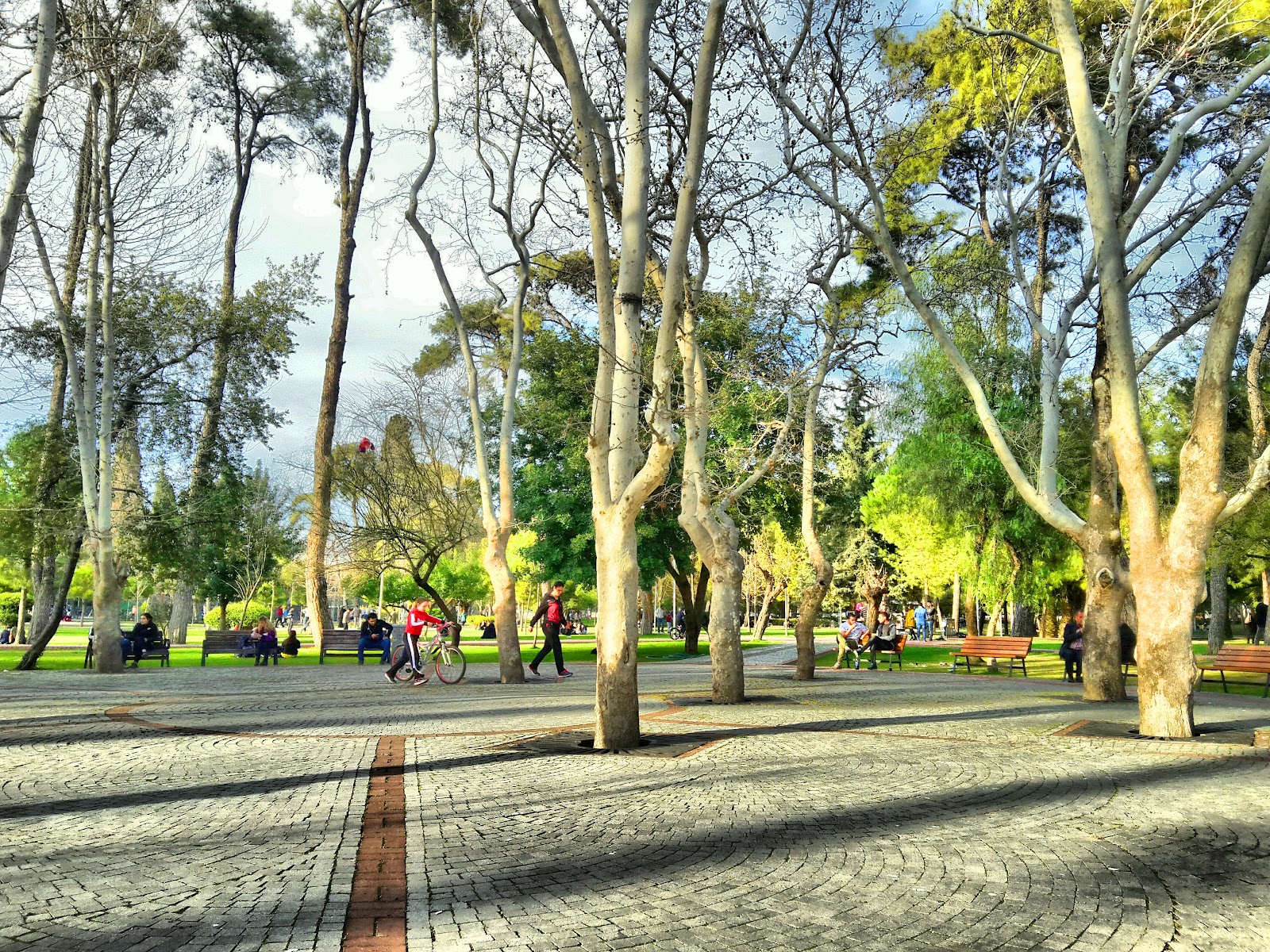 İzmir Büyükşehir Belediyesi Hasanağa Bahçesi photo 3