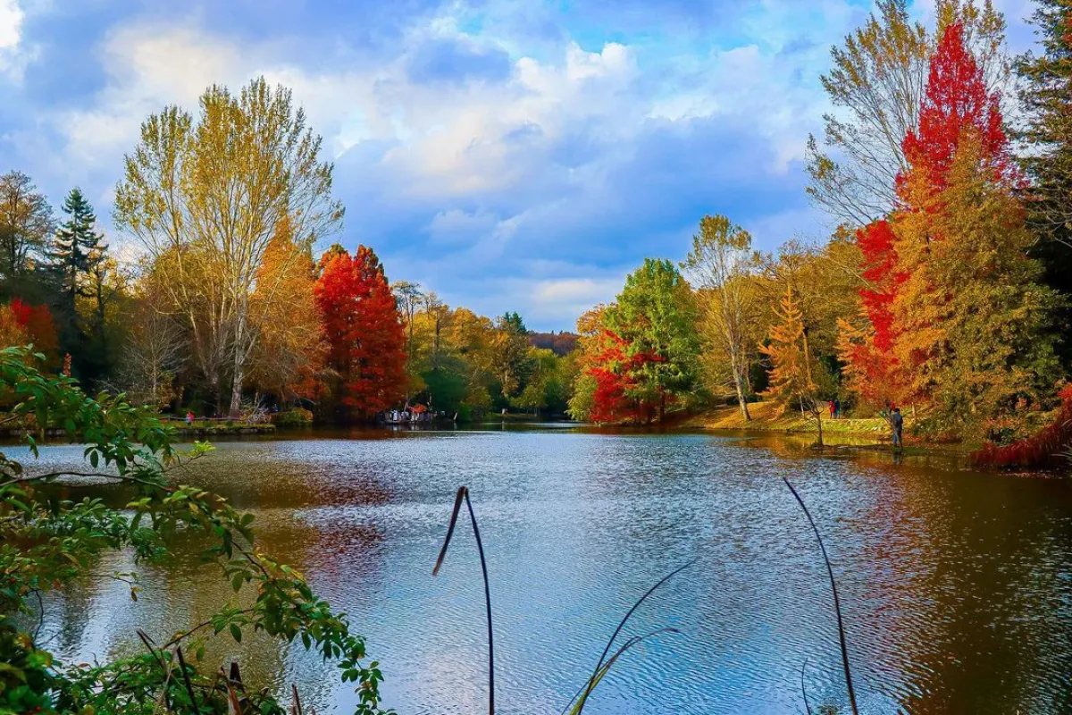 Ataturk Arboretum photo 1