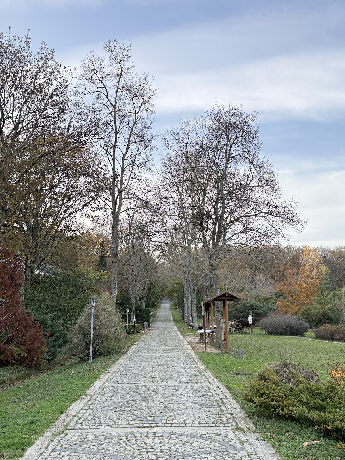 Ataturk Arboretum photo 11
