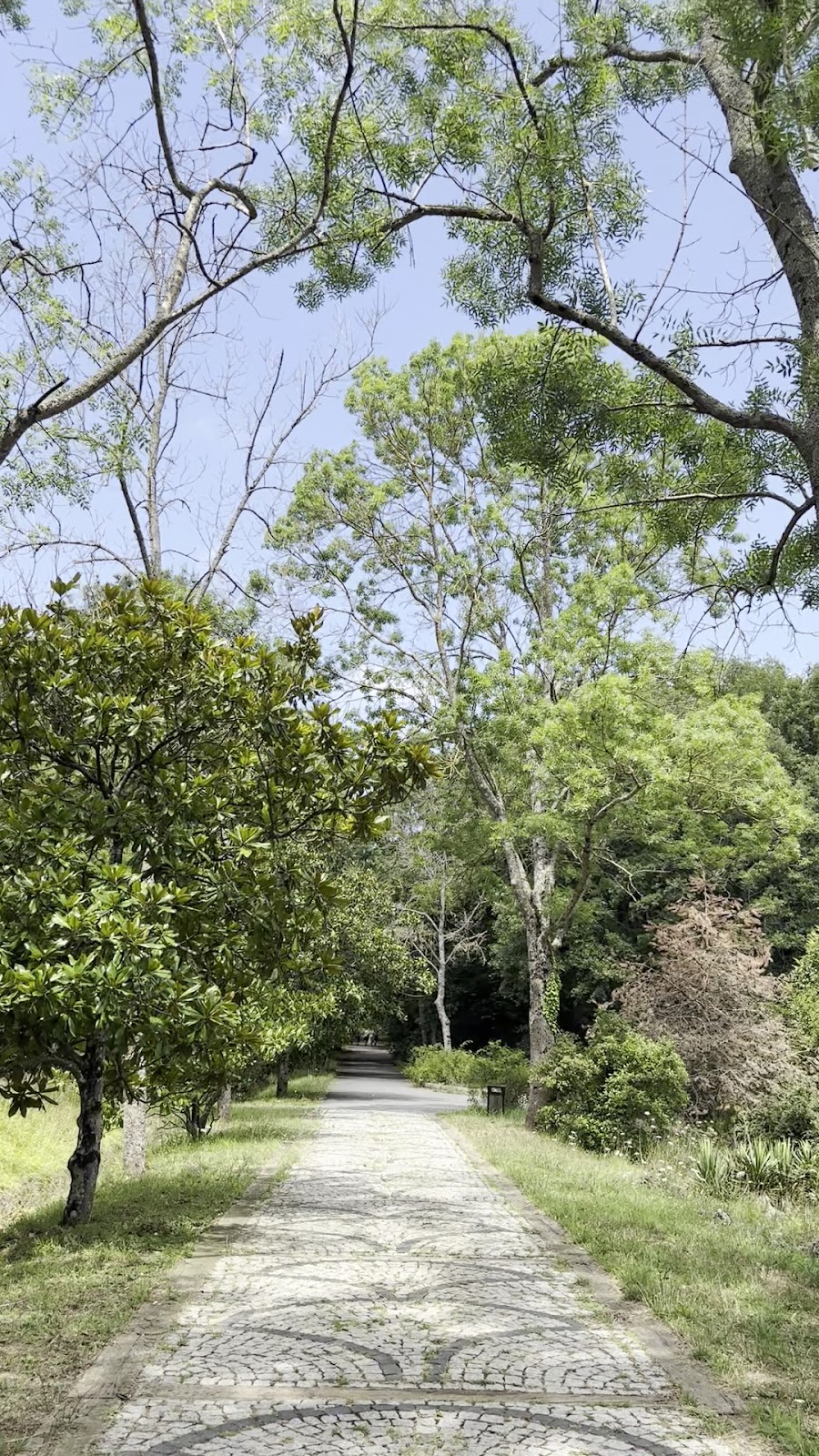 Ataturk Arboretum photo 3