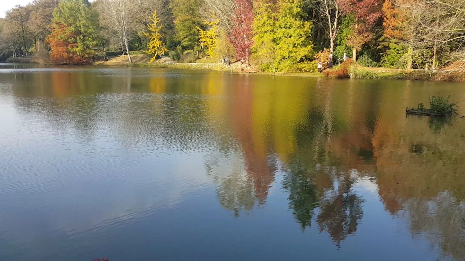 Ataturk Arboretum photo 5