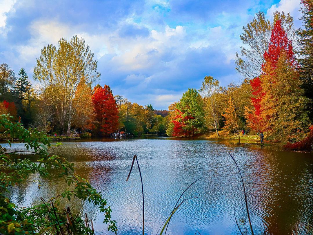 Ataturk Arboretum photo 2